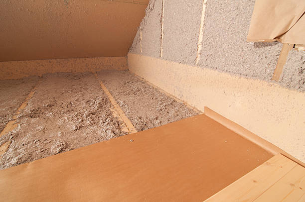 Best Insulation Removal  in Whiteriver, AZ